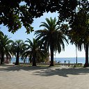 ���� ������, �����-���������, 52 ���� - ��������� 25 ������� 2024 � ������ ��������_��������_2024�