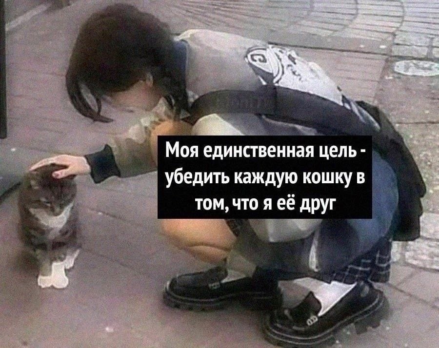     ,  - 