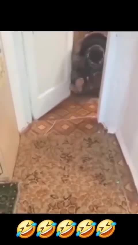 ��� ������ ���� ����� ����� �������� �� ����! - 2