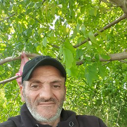 , 42 , 