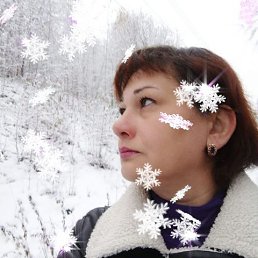 ���� �����, ����, 41 ��� - ��������� 24 ����� 2026