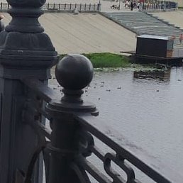 ����� ��������, ������, 50 ���