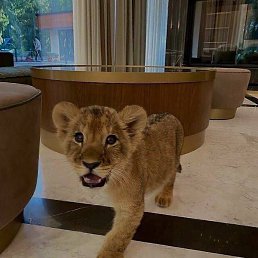 ��������, �������, 27 ���