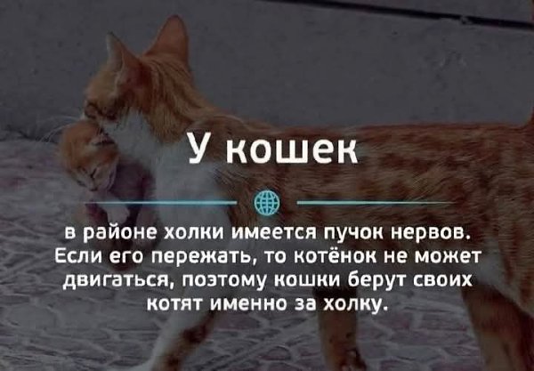:)