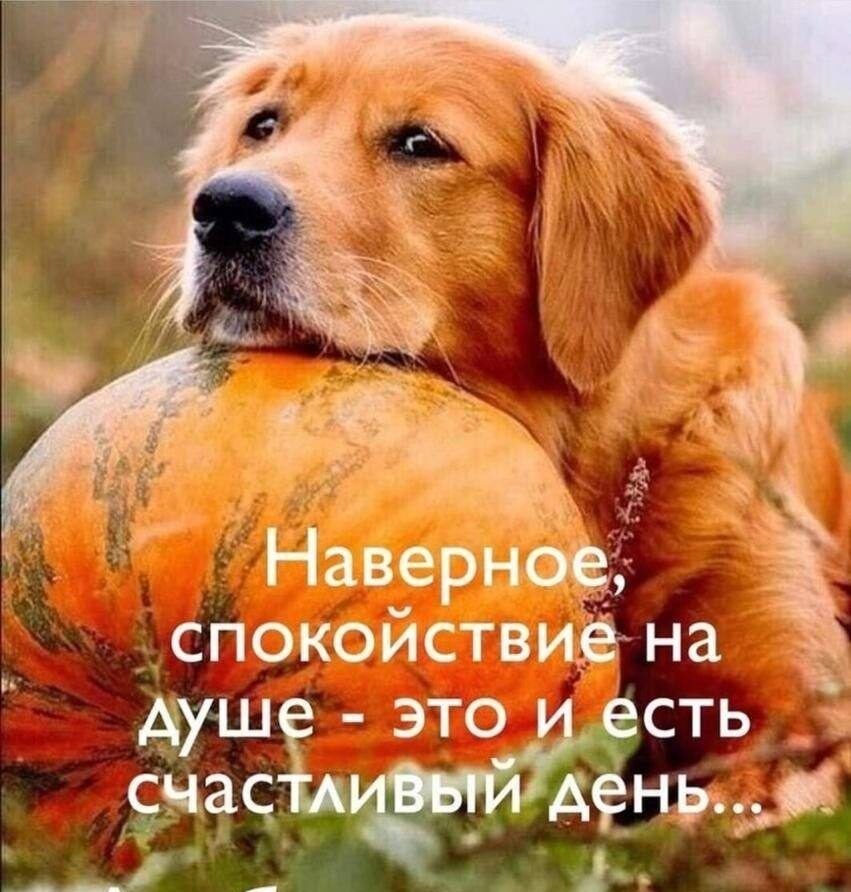   - 20  2025  13:10