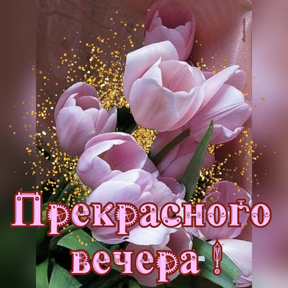 �������� ( �� �������� ��) - 7 ����� 2025 � 15:05