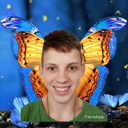 ���� ������, �����������, 36 ��� - ��������� 22 ������ 2023