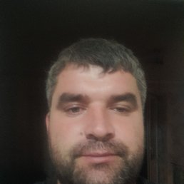 , 36, 