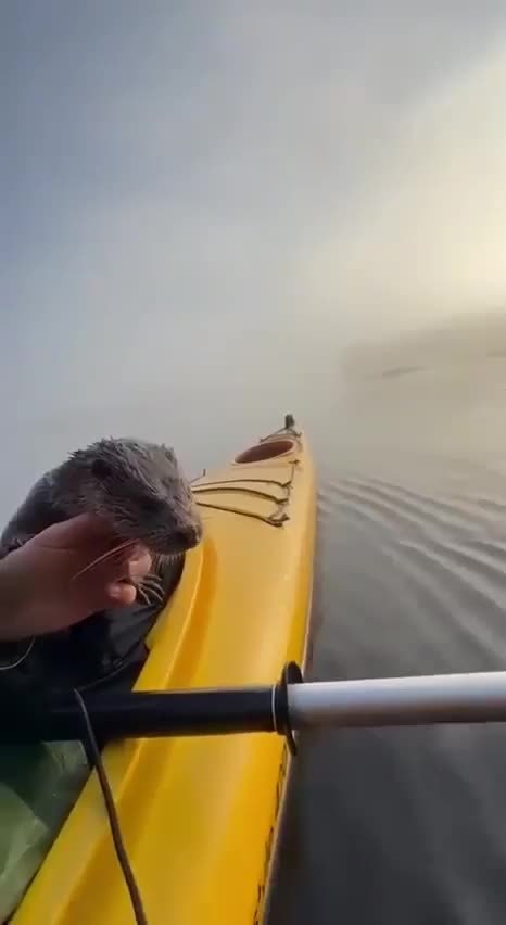 ��, �a�a� �pe�ec��...��o ca�oe ���oe ���eo �a ce�o���! ����� ������� - 2