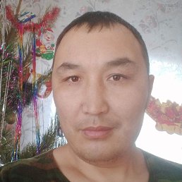 �����, ������, 41 ���