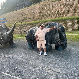 ������, �����-��������, 34 ����