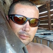 ����, 43 ����, ����-���