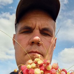 ����, �������, 40 ���