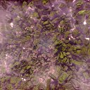 ���� ������, ������������ - ��������� 20 ������� 2024 � ������ ���� ����������