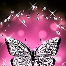 �������, ����, 40 ���