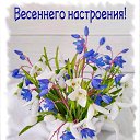 ���� ������� �������, ������, 52 ���� - ��������� 8 ��� 2024 � ������ ���� ����������