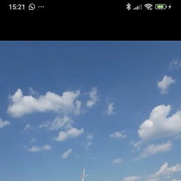, 61, 