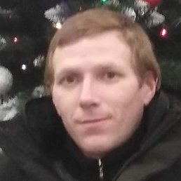 ������, ������, 41 ���