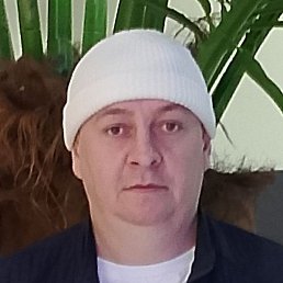 �������, �����, 43 ����