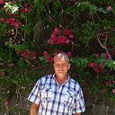 ���� ����, ���������, 51 ��� - ��������� 16 ������� 2023