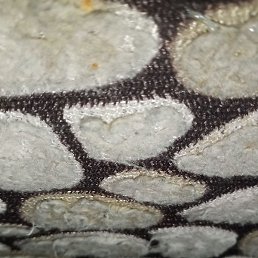 ���, �����, 42 ����