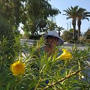 ���� �������, ���������, 65 ��� - ��������� 27 ������� 2024 � ������ ���� ����������