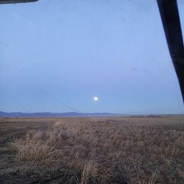 �������, ������, 37 ���