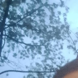 �����, ������, 31 ���