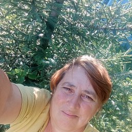 , 46, 