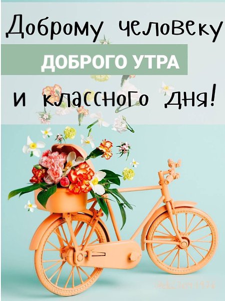  - 1  2024  12:23