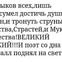 ���� �����, ��������� - ��������� 24 ������� 2026 � ������ ���� ����������
