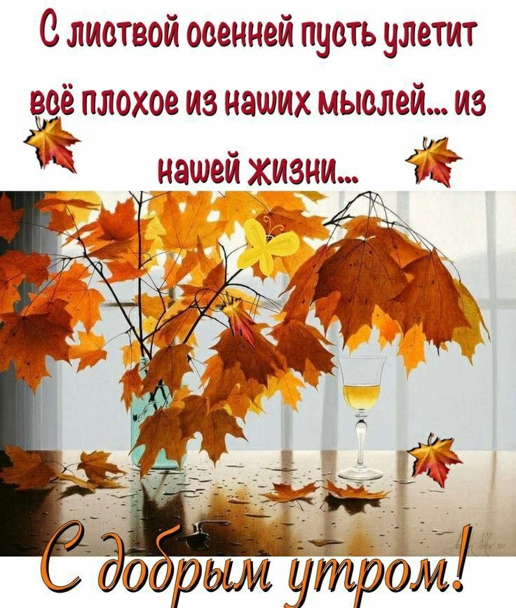   ,    . - 8  2025  23:44