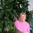 ���� ���������, ������, 60 ��� - ��������� 20 ������ 2026 � ������ ���� ����������