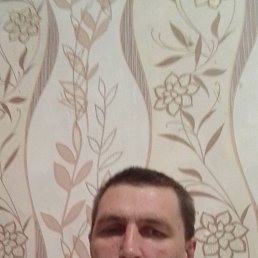 , 34, 