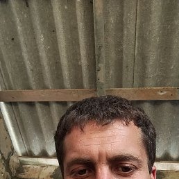  , 36, 