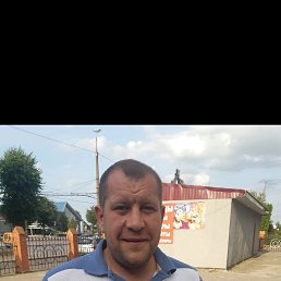 , 41, 