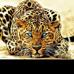 ������, ������, 51 ���