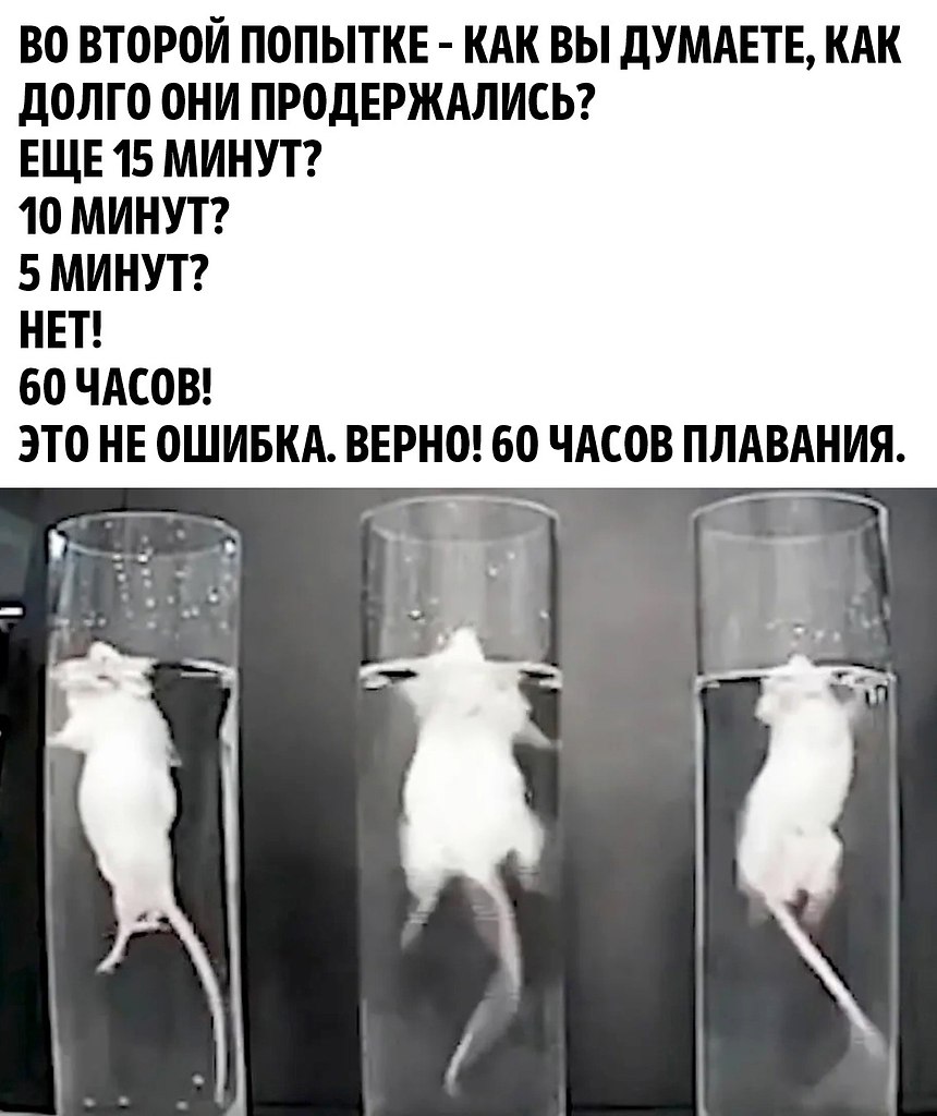 ����� ���� ������������ ���� - 3