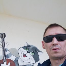  , 37, 