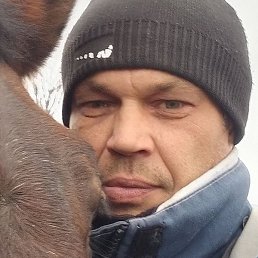 ����, �������, 41 ���