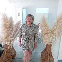 ���� �������, ��������� - ��������� 2 ��� 2024 � ������ ���� ����������
