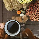 ���� �����, ������ - ��������� 2 ������� 2025 � ������ ������ ��������