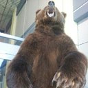 ������� �������.