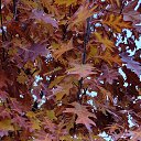  M,  -  27  2025    2025