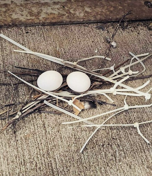 ����� ���� ����� �������� ������ ���������� �������� ������������ � ���������� �������� ... - 6