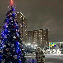 ���� �������, ��������� - ��������� 16 ������ 2026 � ������ ���� ����������