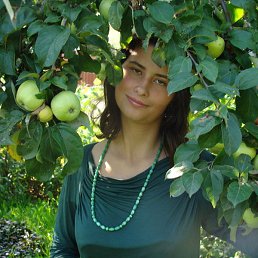 �����, �����-���������, 40 ���