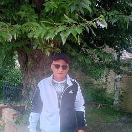 , 53 , 
