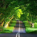 ���� �������, ������ - ��������� 27 ������� 2025 � ������ ���� ����������