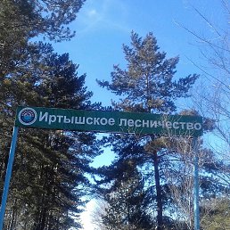 ���� �.���, ������, 61 ��� - ��������� 24 ����� 2024